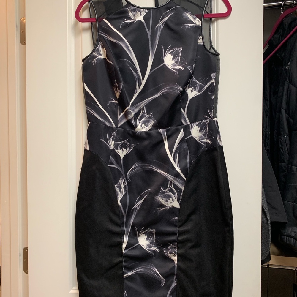 Jason Wu Ghost Print Flower Dress